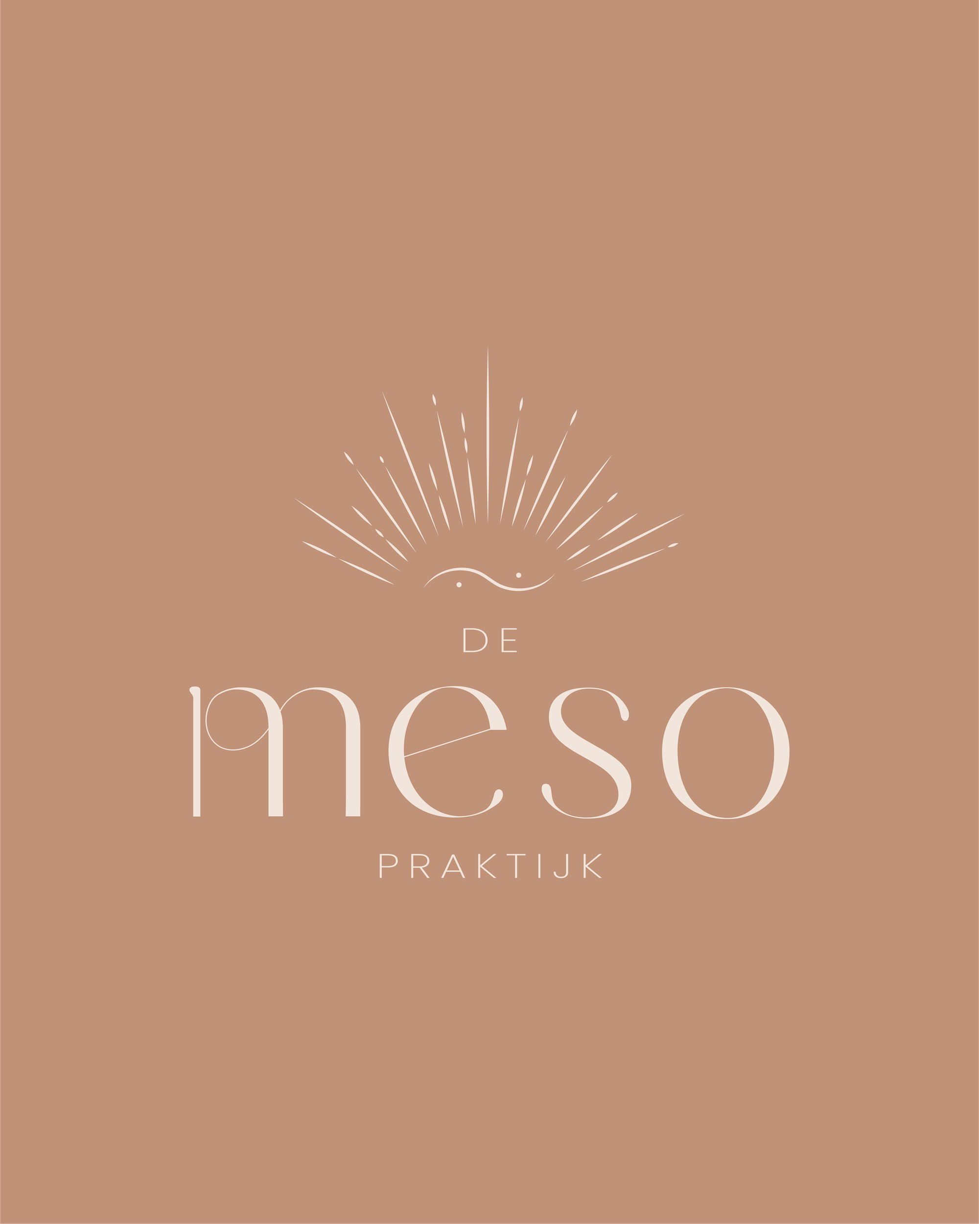 De Meso Praktijk